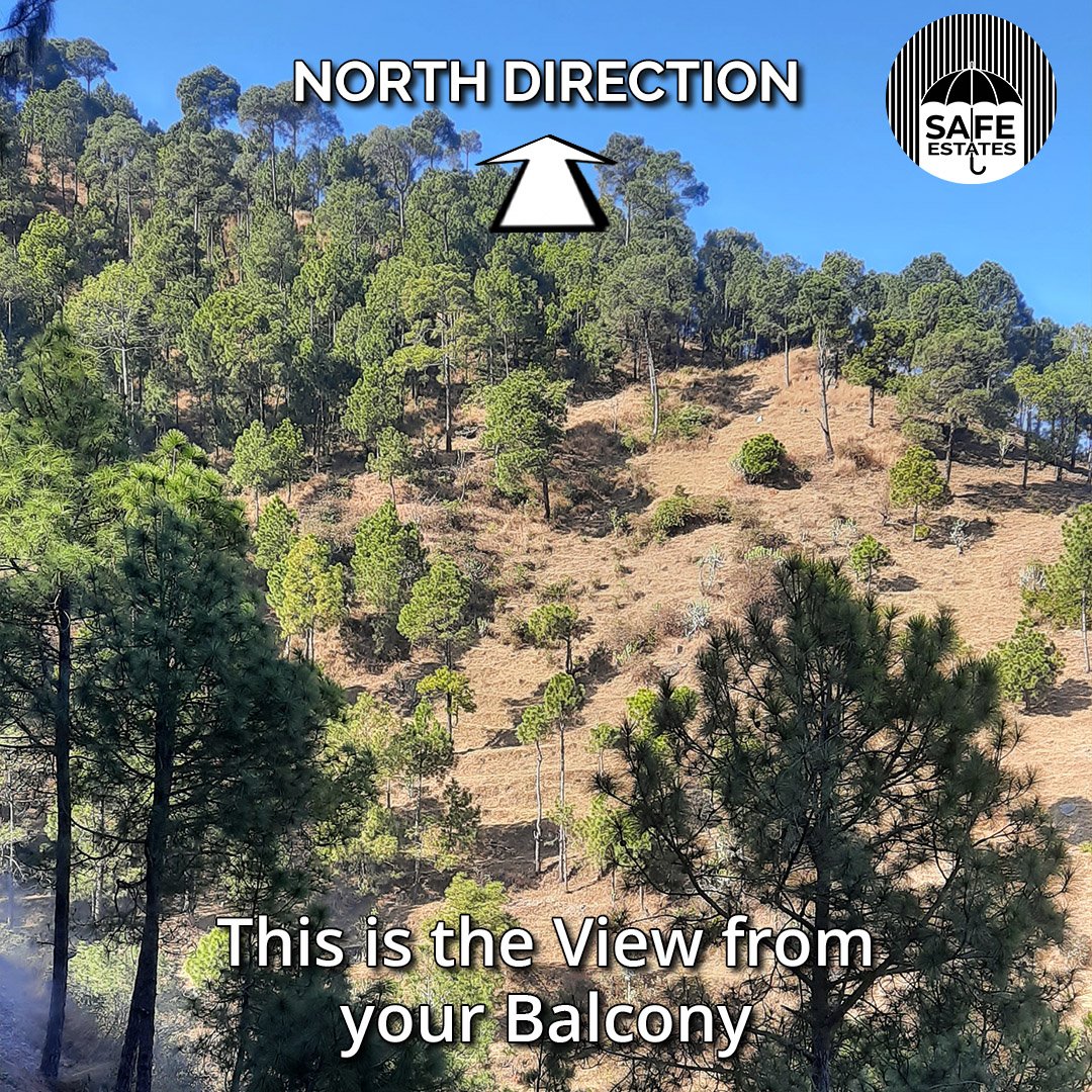 North Direction; North Pic; View from Balcony; Mountain views;