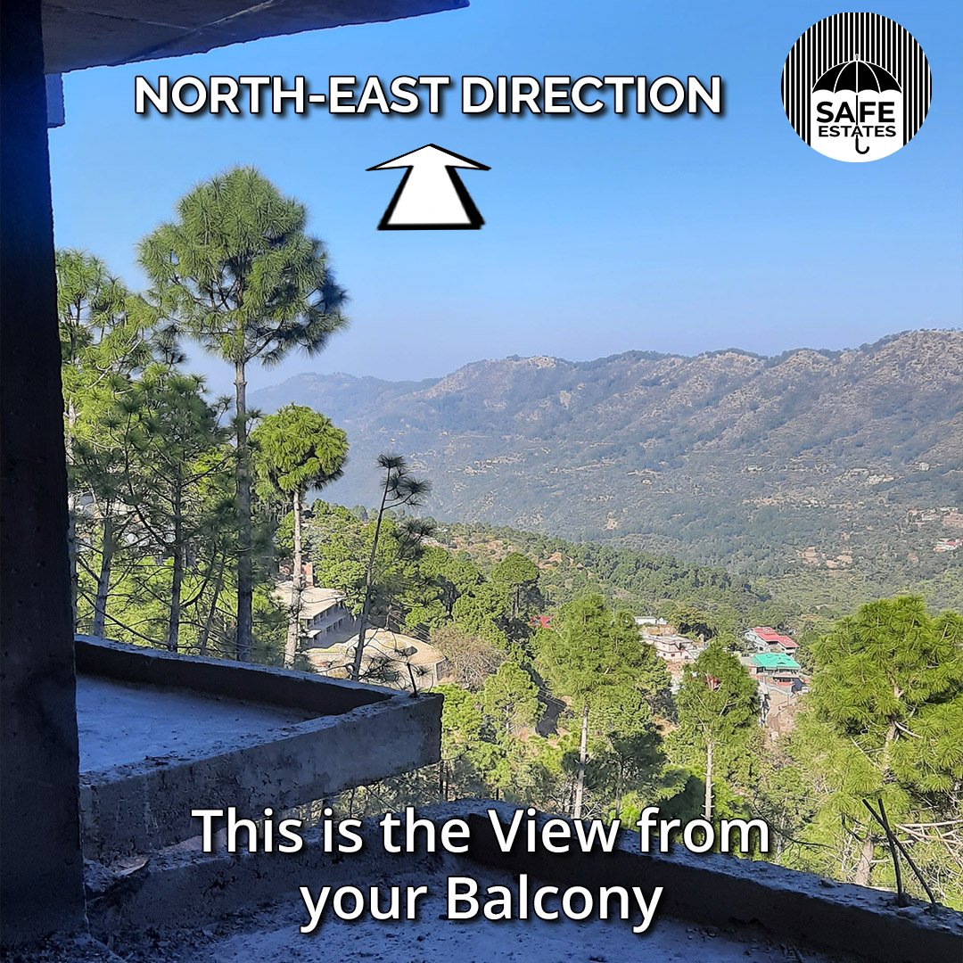 View from my balcony;