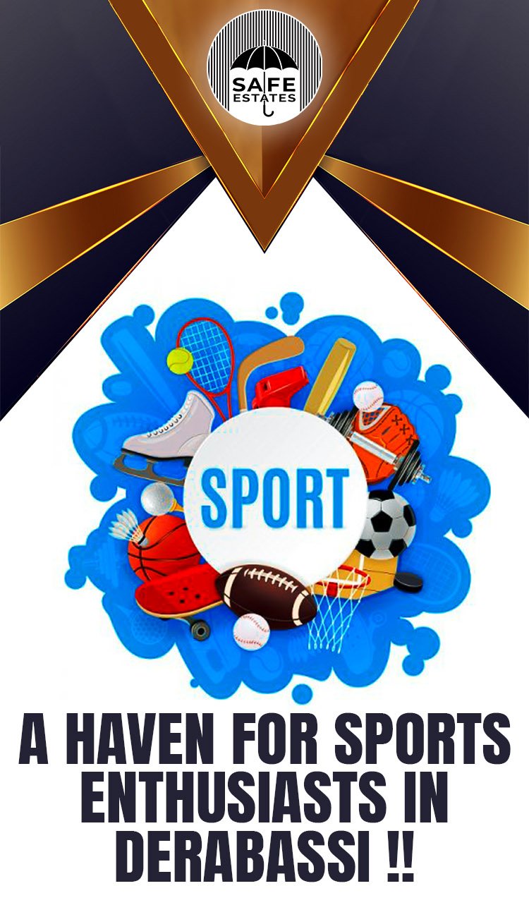 a society that is meant for sports lovers, haven for sports lovers, sports society, sports in chandigarh,